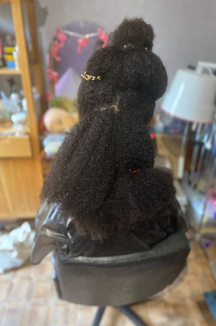 Soins pour cheveux afro et curly Sainte-Florine